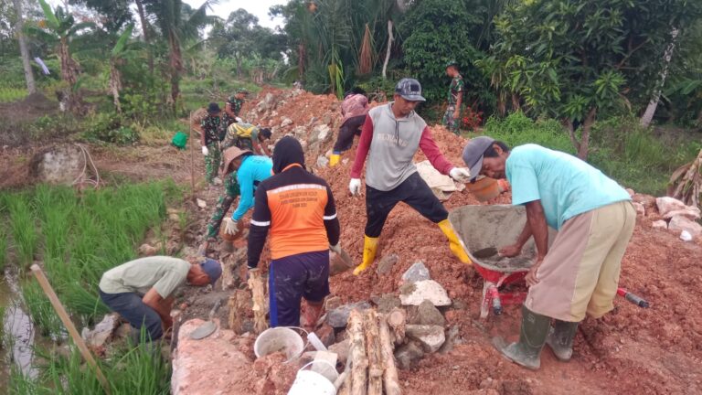 WhatsApp Image 2026-03-04 at 11.38.07