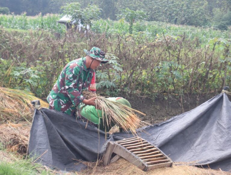 WhatsApp Image 2026-03-05 at 06.12.29 (1)