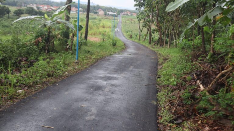 WhatsApp Image 2026-03-06 at 07.38.01