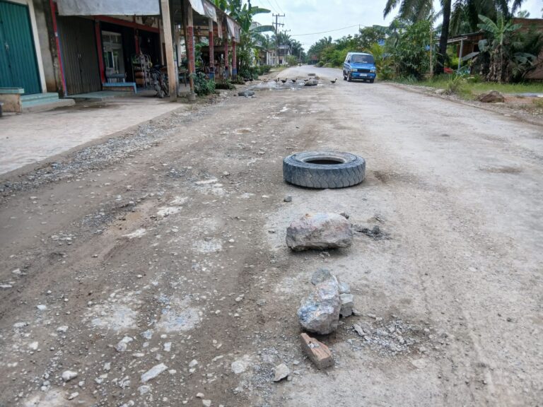 WhatsApp Image 2026-03-07 at 11.00.34