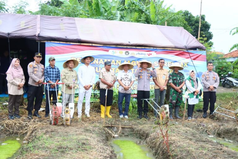 WhatsApp Image 2026-03-08 at 09.45.14