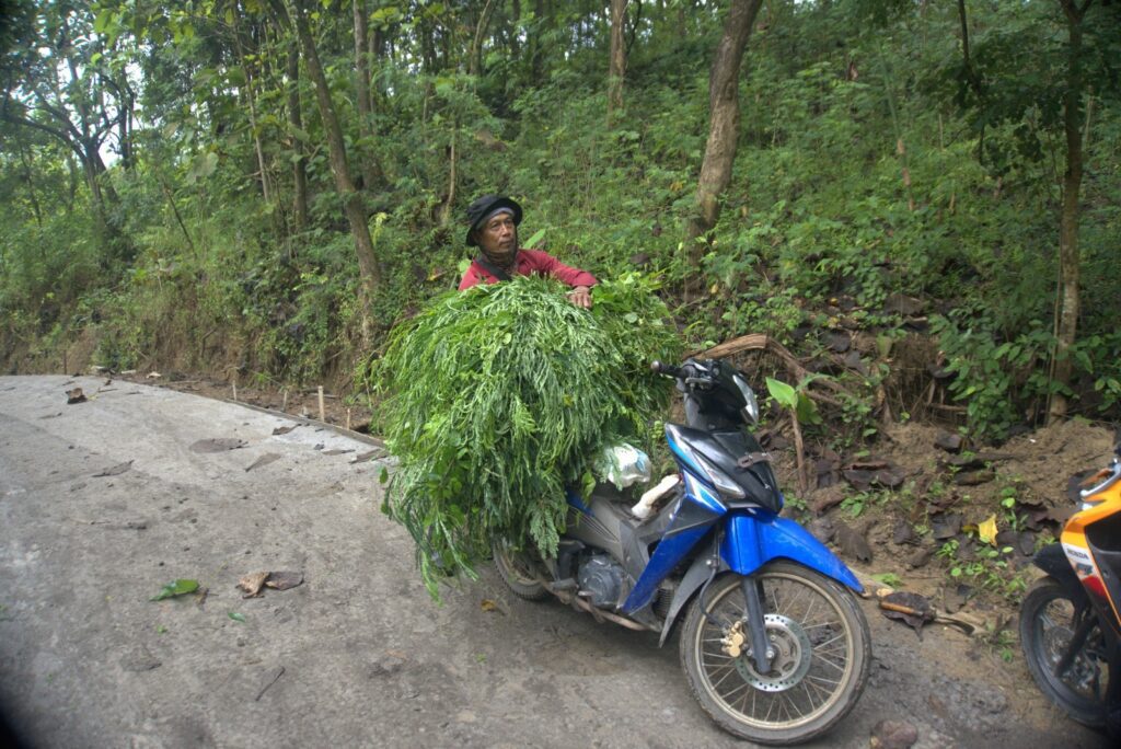 WhatsApp Image 2026-03-08 at 09.49.24