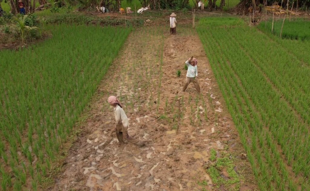 WhatsApp Image 2026-03-08 at 12.02.22 (2)