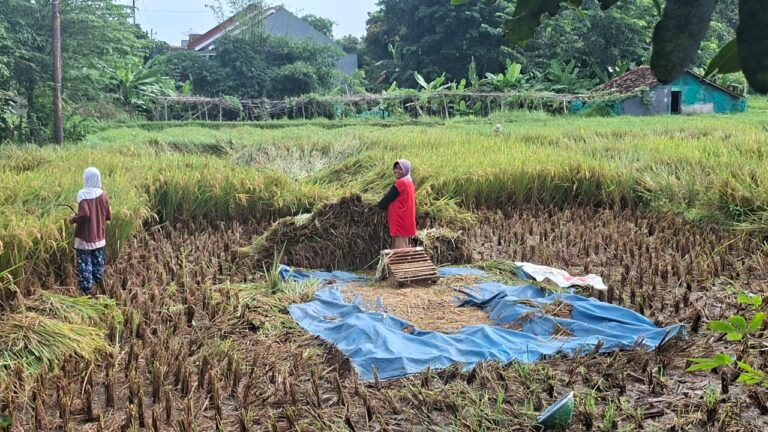 WhatsApp Image 2026-03-09 at 00.04.06