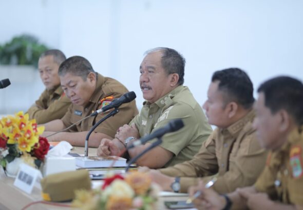 WhatsApp Image 2026-03-09 at 21.17.07