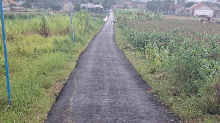 WhatsApp Image 2026-03-10 at 12.05.31