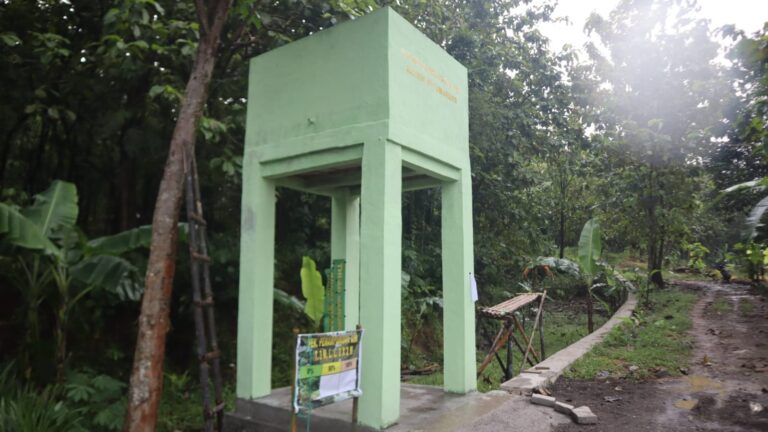 WhatsApp Image 2026-03-11 at 06.52.27