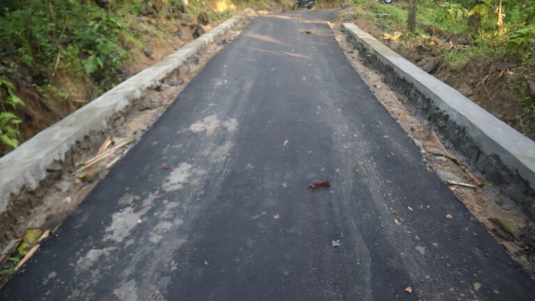 WhatsApp Image 2026-03-11 at 06.52.33