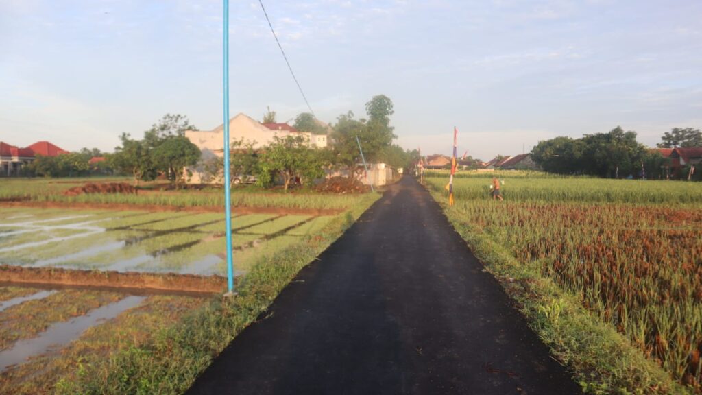 WhatsApp Image 2026-03-11 at 06.52.36