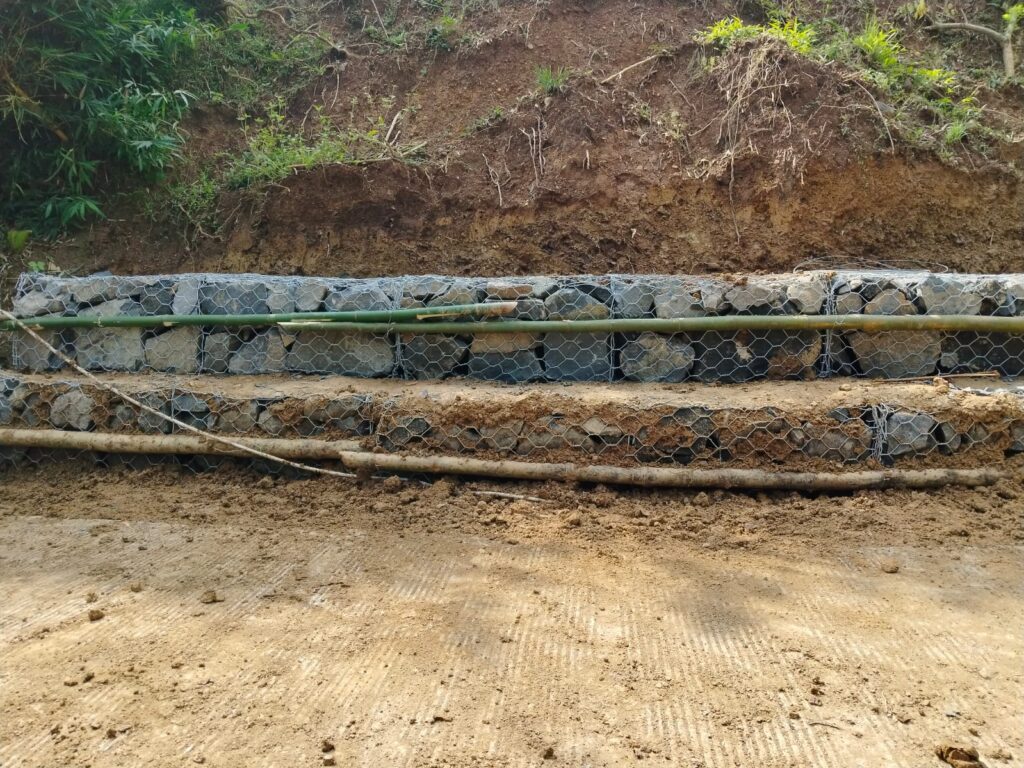 WhatsApp Image 2026-03-11 at 07.48.10