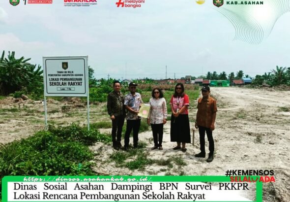 WhatsApp Image 2026-03-15 at 12.22.28