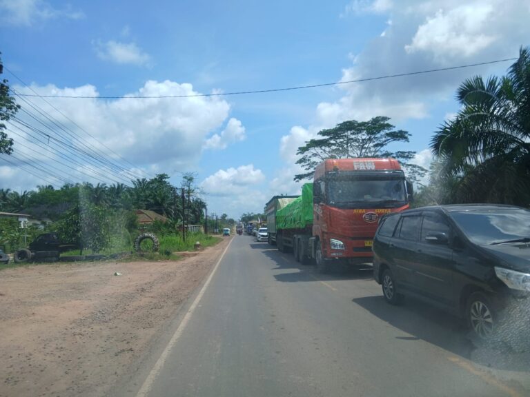 WhatsApp Image 2026-03-17 at 12.17.20