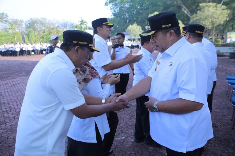 WhatsApp Image 2026-03-26 at 11.21.07