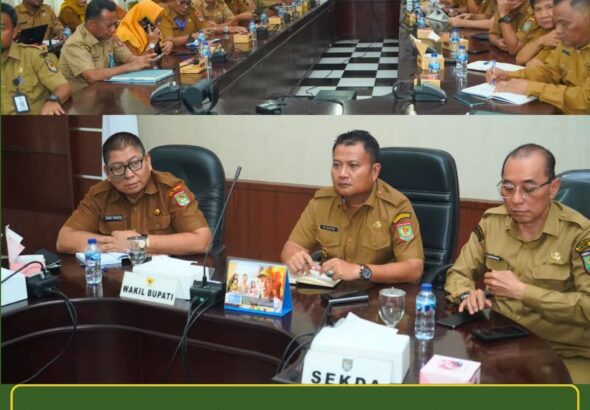 WhatsApp Image 2026-04-01 at 23.05.54