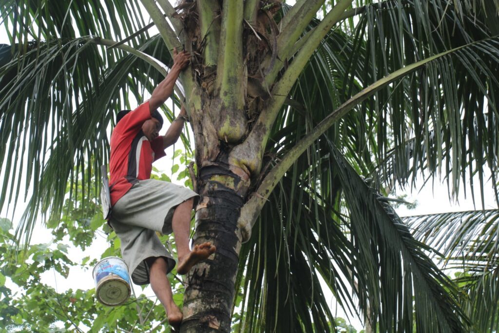 WhatsApp Image 2026-04-22 at 20.48.42 (1)