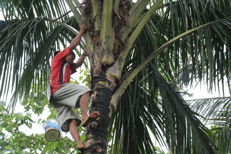 WhatsApp Image 2026-04-22 at 20.48.42 (1)