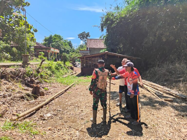 WhatsApp Image 2026-04-24 at 10.05.53