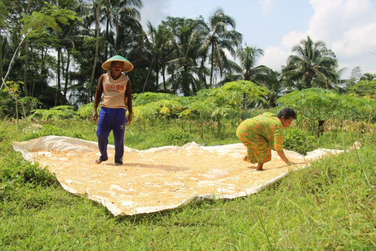 WhatsApp Image 2026-04-24 at 10.25.59 (1)