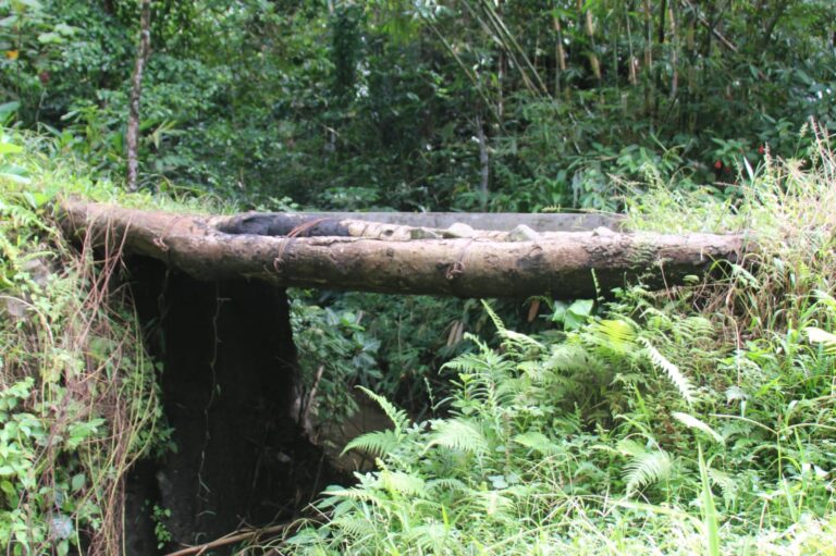 WhatsApp Image 2026-04-24 at 10.26.57