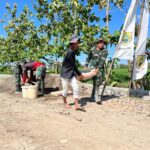 WhatsApp Image 2026-04-24 at 11.11.47 (1)