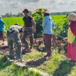 WhatsApp Image 2026-04-24 at 11.38.24 (1)