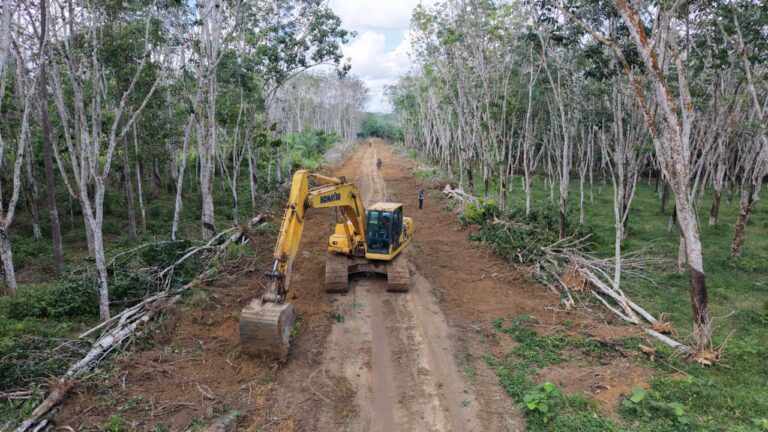 WhatsApp Image 2026-04-24 at 13.13.08