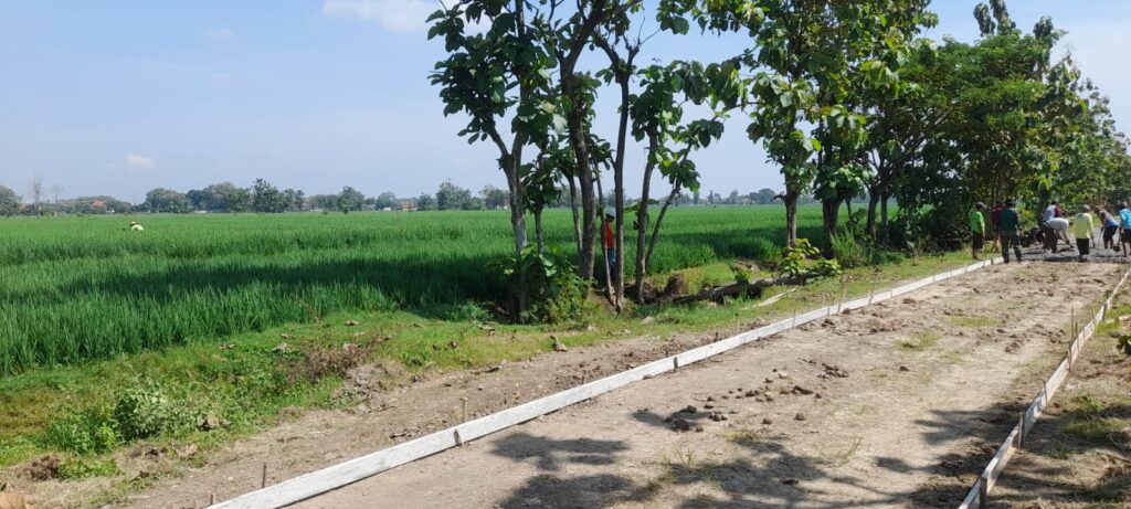 WhatsApp Image 2026-04-25 at 11.13.24 (1)