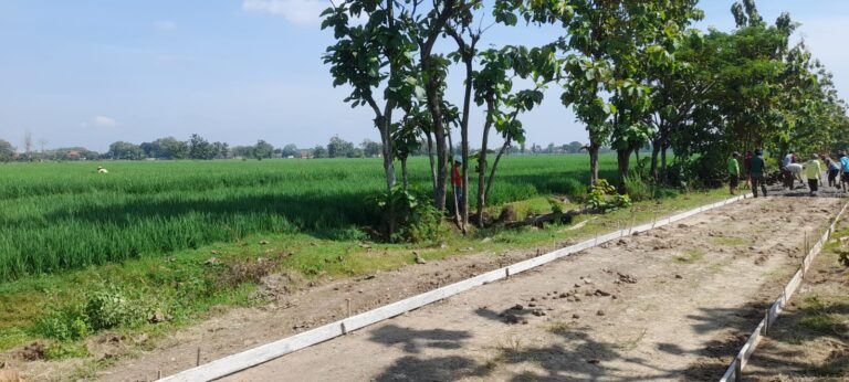 WhatsApp Image 2026-04-25 at 11.13.24 (1)