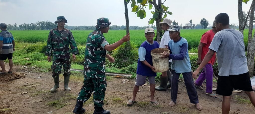 WhatsApp Image 2026-04-27 at 10.29.18 (1)