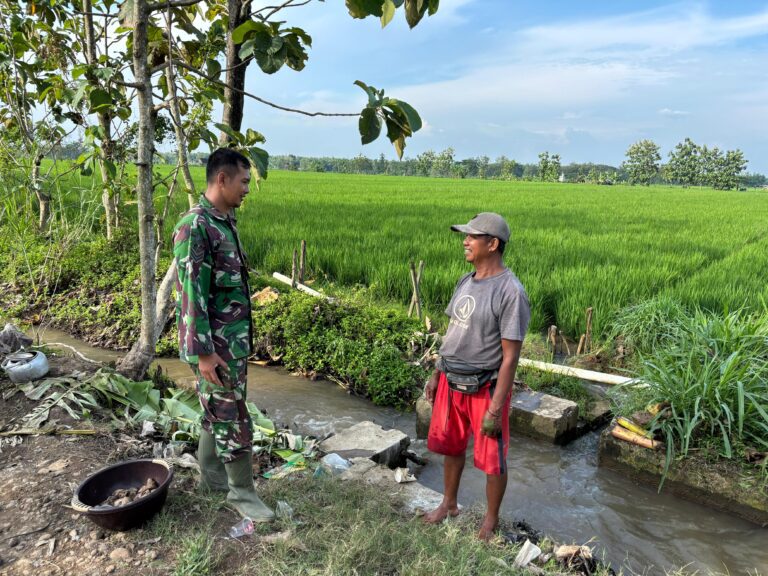 WhatsApp Image 2026-04-28 at 08.14.19(2)