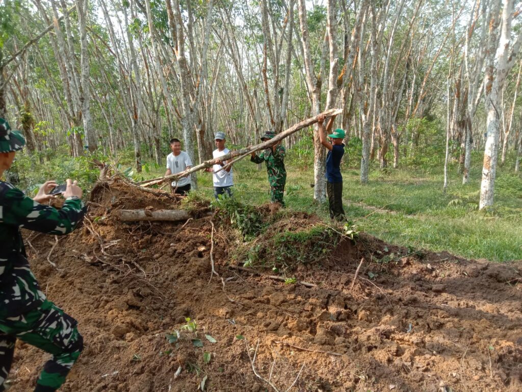 WhatsApp Image 2026-04-28 at 14.30.38(2)