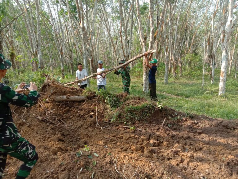 WhatsApp Image 2026-04-28 at 14.30.38(2)