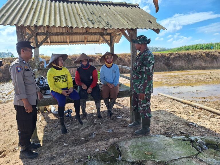 WhatsApp Image 2026-04-29 at 11.22.31