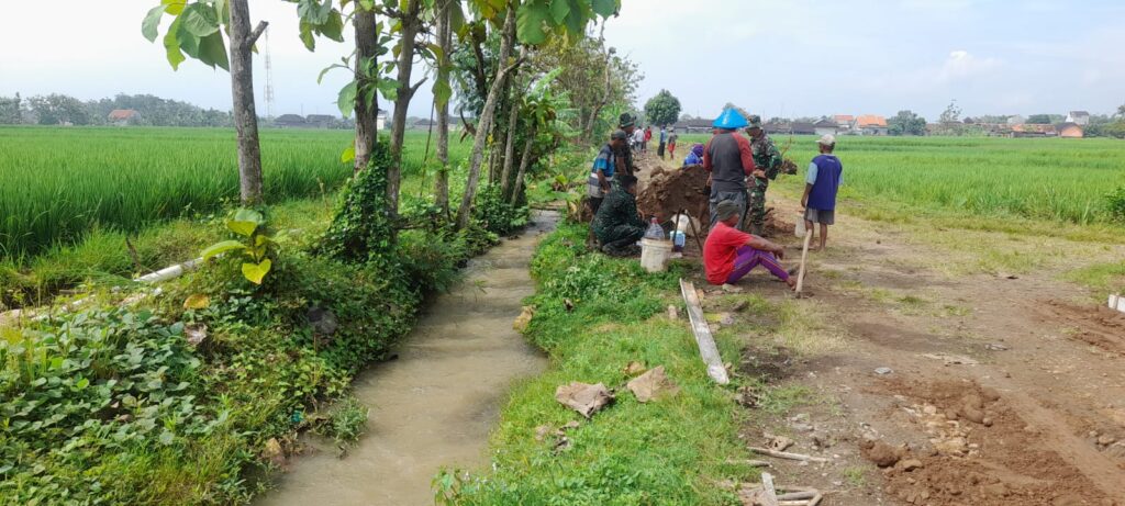 WhatsApp Image 2026-04-30 at 10.14.02(1)