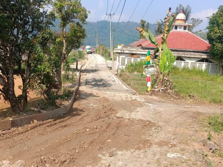 WhatsApp Image 2026-07-17 at 16.17.11