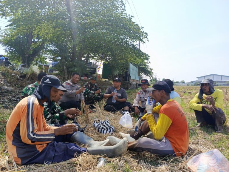 WhatsApp Image 2026-07-30 at 09.53.05