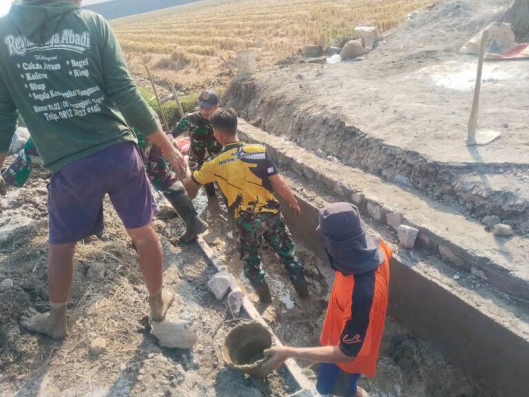 WhatsApp Image 2026-08-02 at 09.16.18 (1)