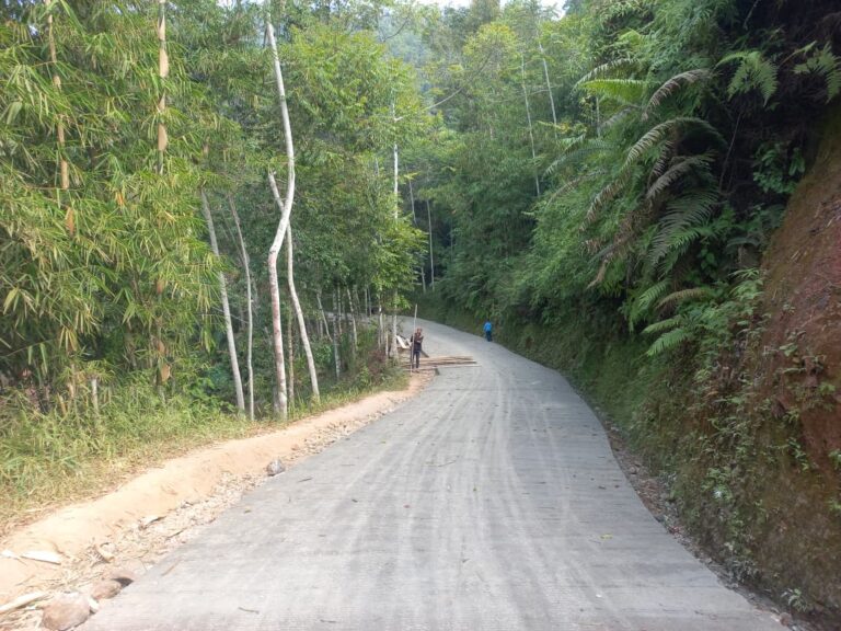 WhatsApp Image 2026-08-03 at 11.32.50 (1)