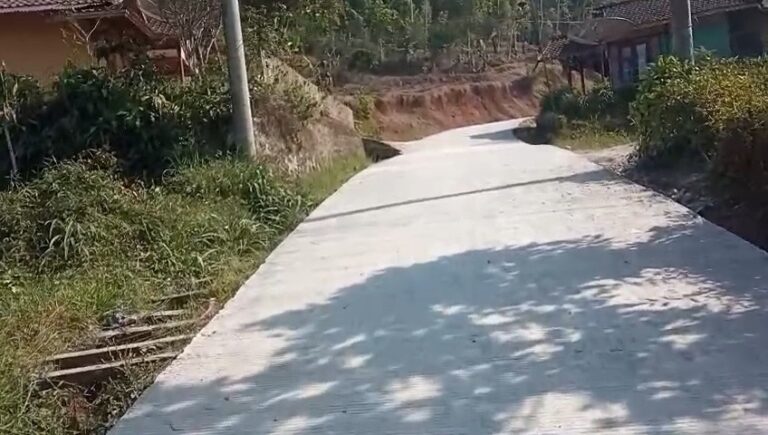 WhatsApp Image 2026-08-03 at 11.35.38 (1)