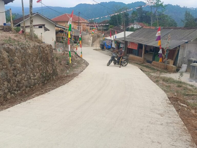 WhatsApp Image 2026-08-09 at 14.03.44