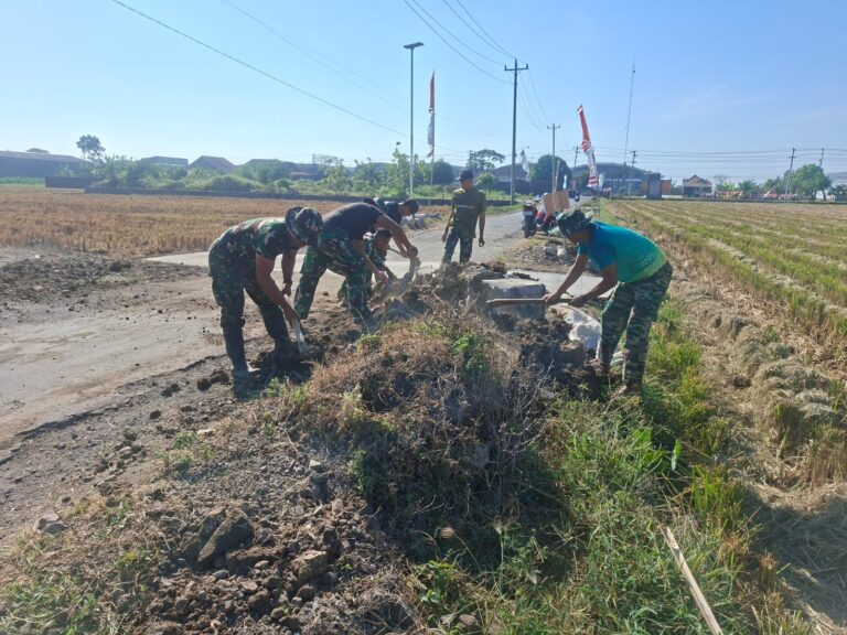 WhatsApp Image 2026-08-10 at 06.37.46 (1)