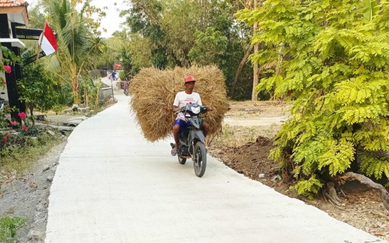 WhatsApp Image 2026-08-10 at 12.19.05 (1)