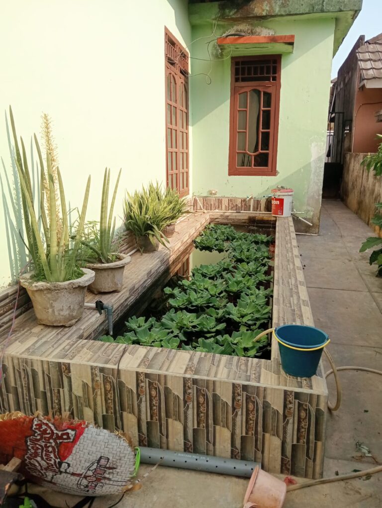 IMG-20260915-WA0002