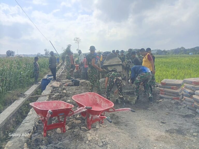 WhatsApp Image 2026-10-18 at 11.34.00